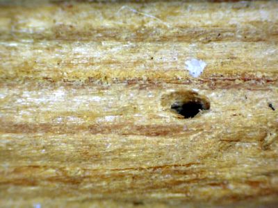 detail wormgat stapel Paul L detail wormgat stapel Paul L
