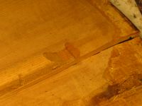 scheur_(2)
